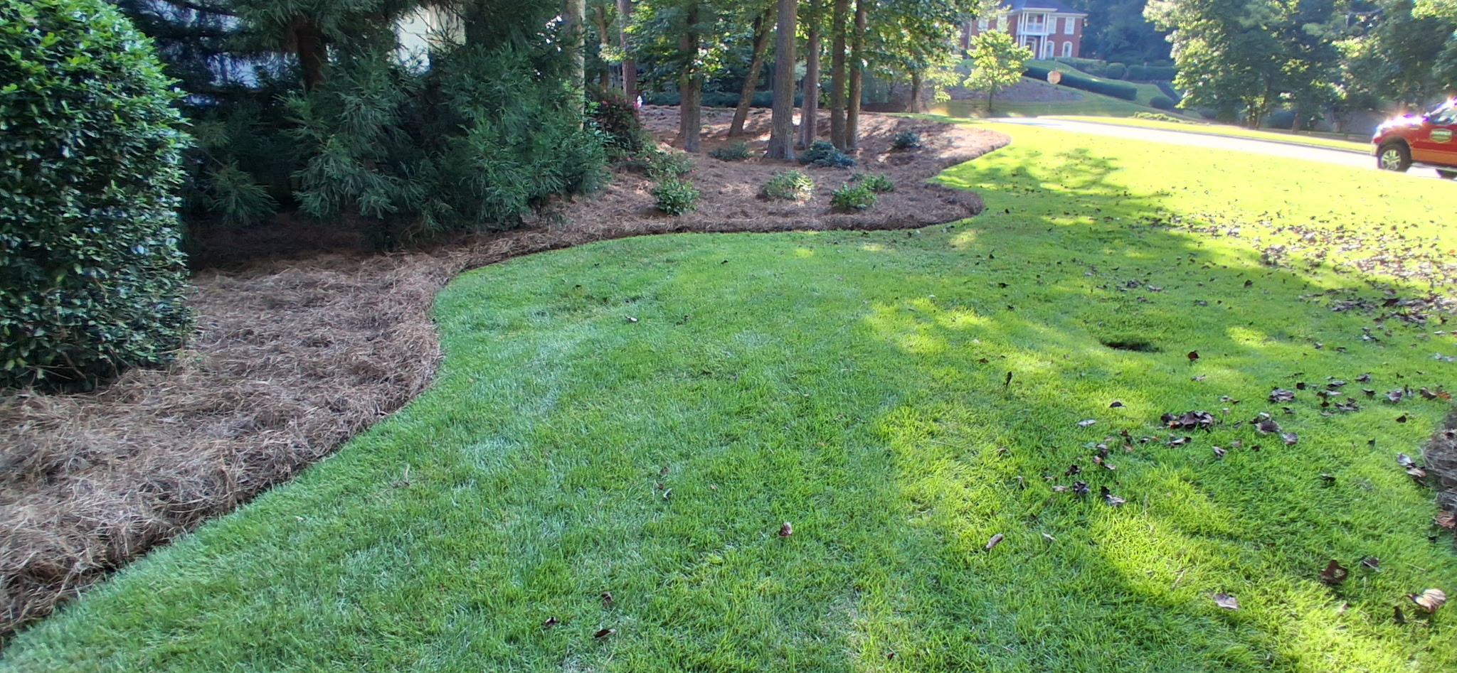 Pine straw beds with clean edges beside a lawn